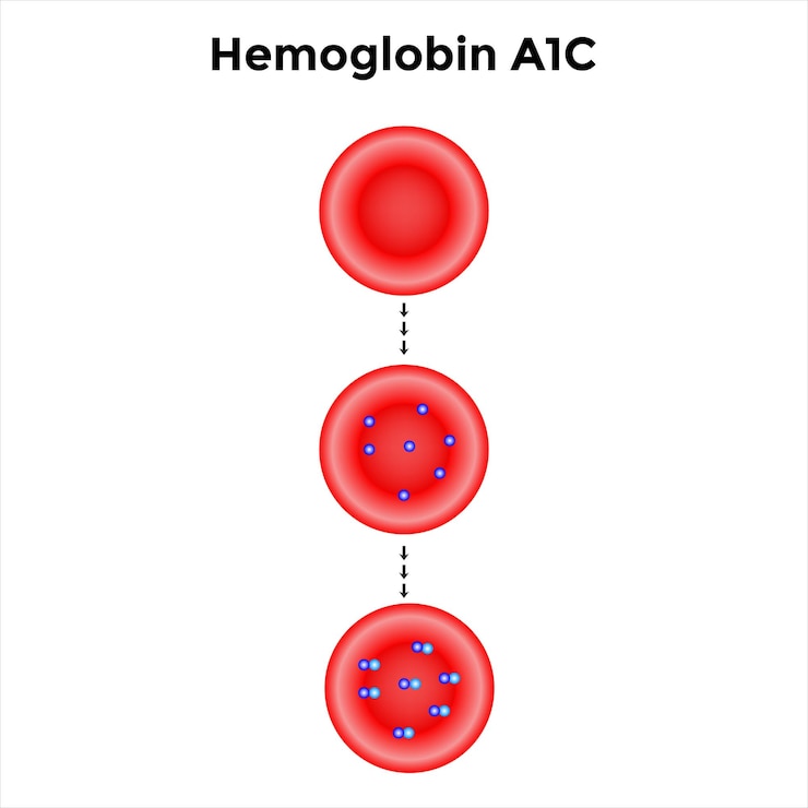 Vector diseño científico de la formación de hemoglobina glicosilada símbolos de colores ilustración vectorial