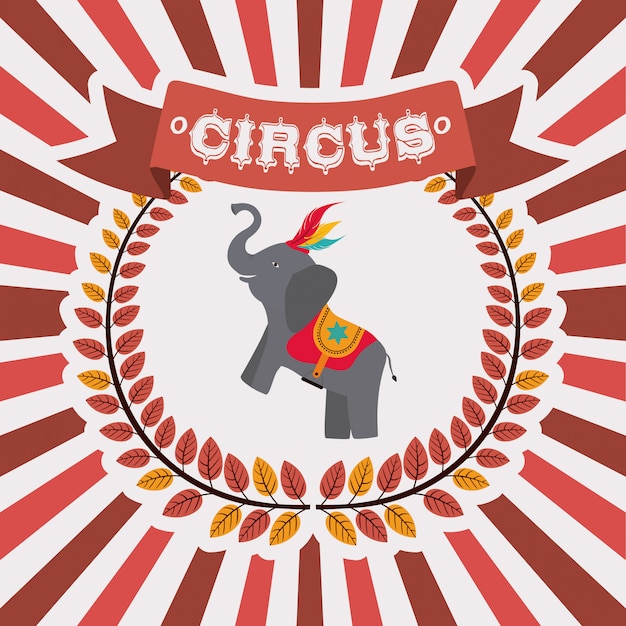 Diseño de circo