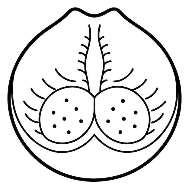 Diseño de clip art de la línea vectorial del pecho