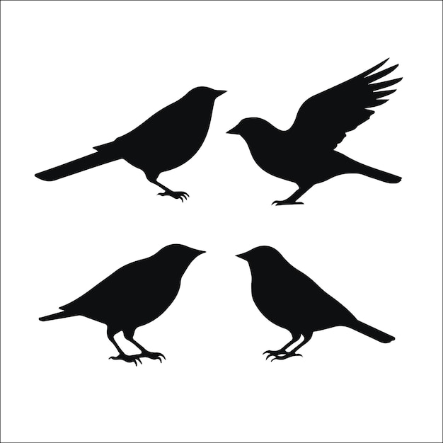 Diseño de colecciones vectoriales de siluetas de aves