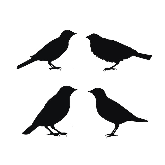 Diseño de colecciones vectoriales de siluetas de aves