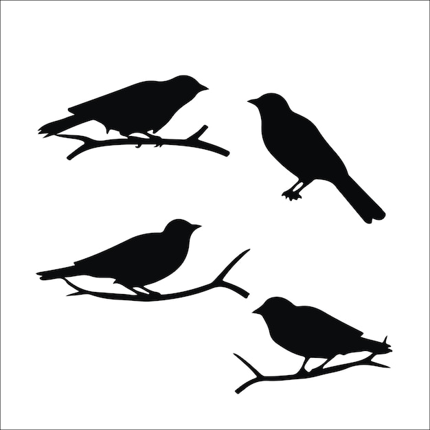 Diseño de colecciones vectoriales de siluetas de aves