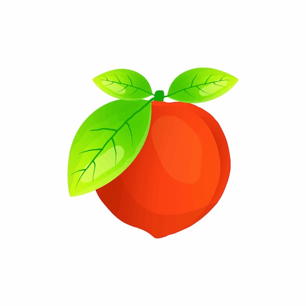 Diseño colorido del vector de la fruta del melocotón