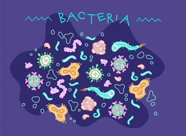 Diseño conceptual de microorganismos bacterianos