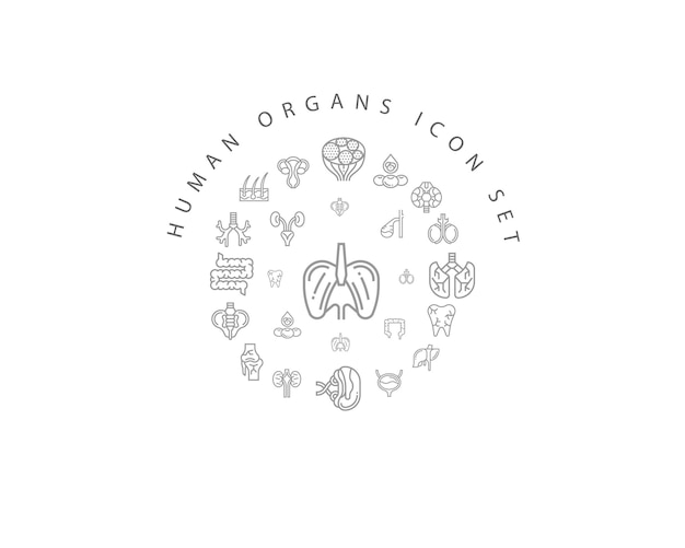 diseño de conjunto de iconos de órganos humanos