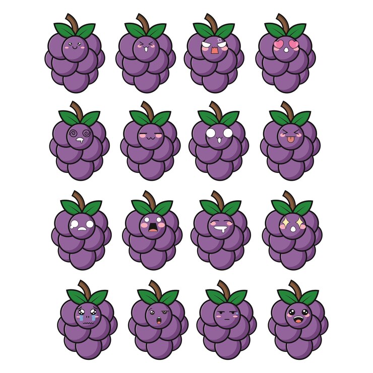 Vector diseño del conjunto de iones de la cara linda de pomelo