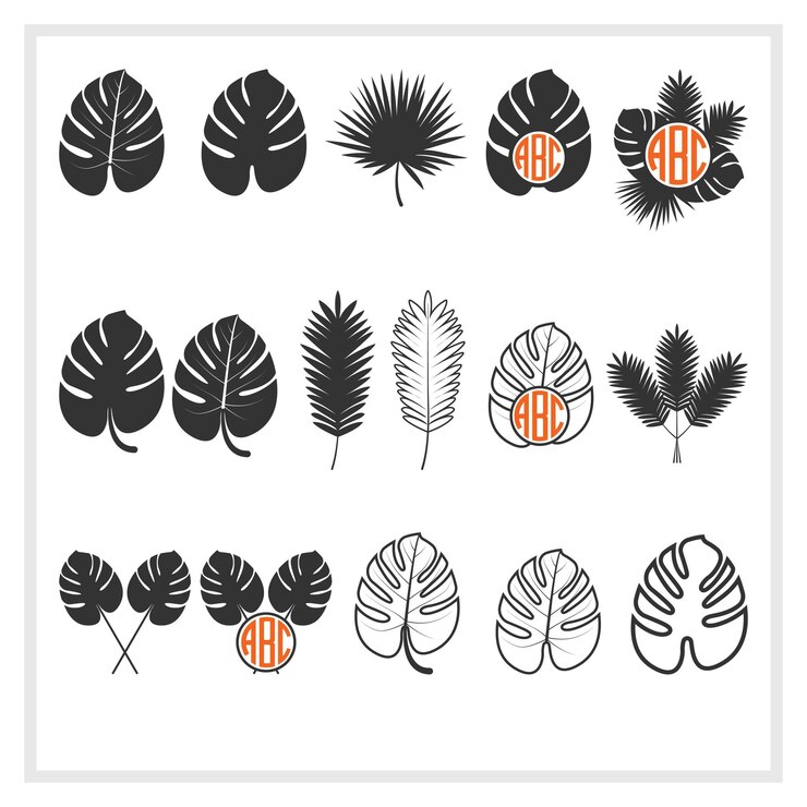 Diseño de conjunto de siluetas de hojas de palma Vector Clipart