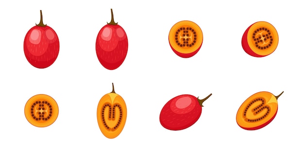 Diseño de conjunto de tamarillo de tomate de fruta tropical cortado aislado Comida vegana exótica en vector plano detallado
