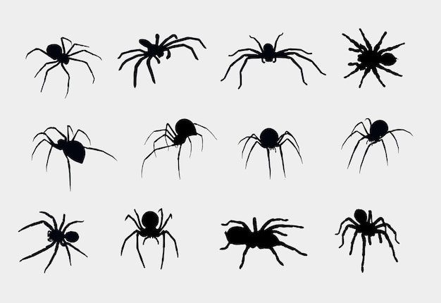 diseño de conjunto de vectores de silueta de araña y tarántula