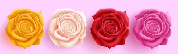 Vector diseño de conjunto vectorial de rosas de la flor de san valentín el día de san valentín flores de rosas frescas para el día del corazón