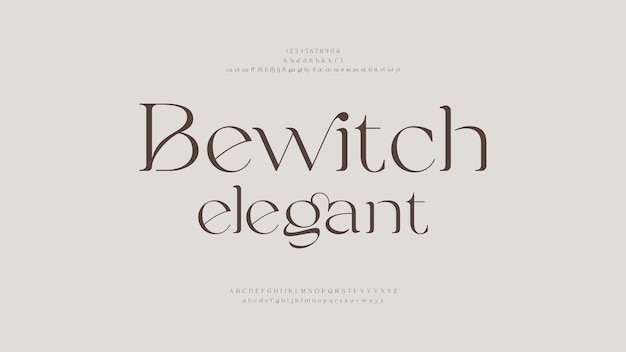 Diseño de conjuntos de fuentes de alfabeto vintage y clásico Ilustración vectorial Tipografía decorativa de serif
