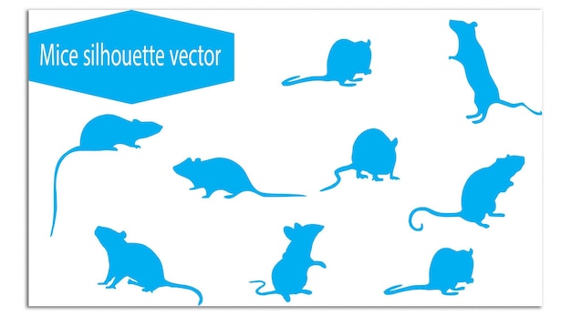 Diseño de conjuntos vectoriales abstractos