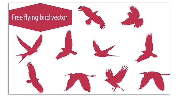 Diseño de conjuntos vectoriales abstractos
