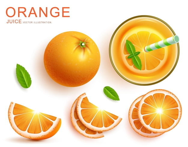 Diseño de conjuntos vectoriales de jugo de naranja de verano Bebida de jugo De naranja en vaso con cóctel de pomelo