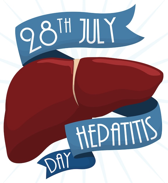 Vector diseño conmemorativo del día mundial de la hepatitis con hígado y cintas