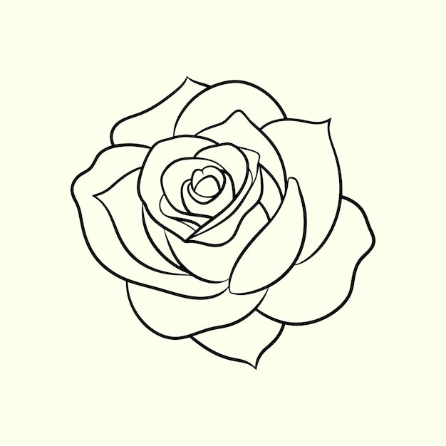 diseño de contorno de rosa