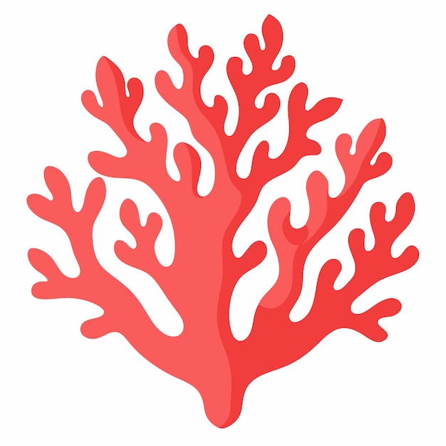 Diseño de coral clip art ilustración de fondo blanco sólido 13