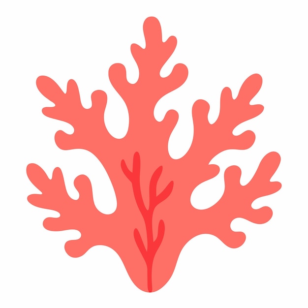 Diseño de coral clip art ilustración de fondo blanco sólido 3