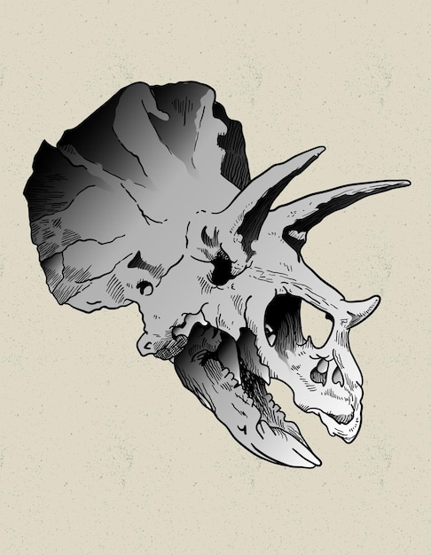 Vector diseño de cráneo de triceratops