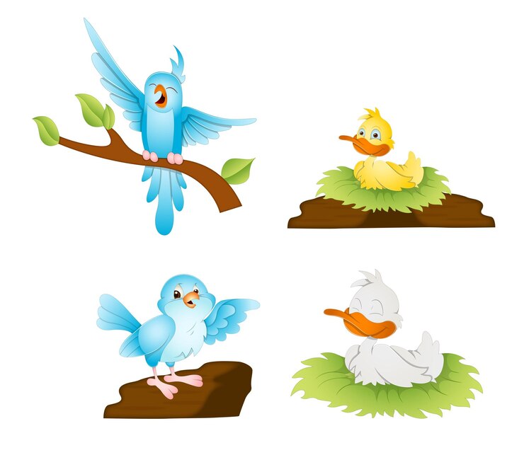 Diseño creativo de ilustraciones de aves de dibujos animados vectoriales 3