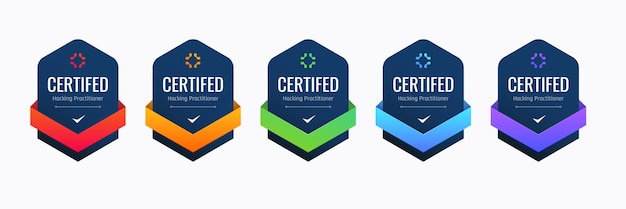 Vector diseño de credencial certificado para profesionales de piratería certificaciones de seguridad informática profesional basadas en criterios