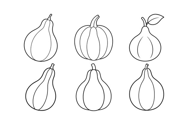 Diseño de Cucurbita de calabaza con ilustración vectorial de arte de líneas etiquetadas