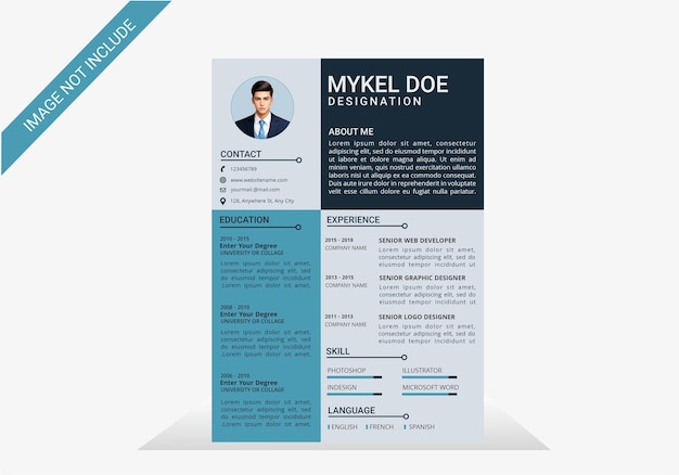 Diseño de currículum profesional para conseguir un trabajo en una gran empresa, diseño creativo y moderno.