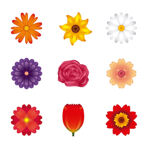 diseño de decoración floral