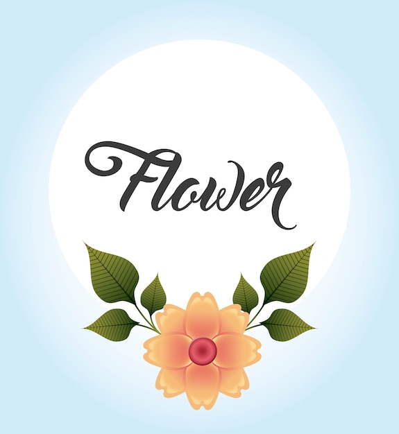 diseño de decoración floral