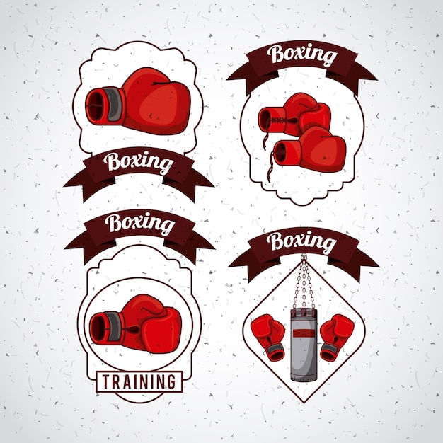 Vector diseño de deporte de boxeo