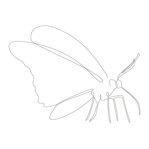 Diseño de dibujo de línea continua de mariposa aislado sobre fondo blanco para logotipo o elemento decorativo