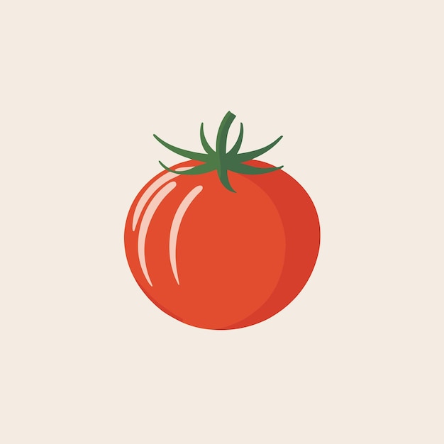 Vector diseño de dibujos animados de ilustración de vector de tomate