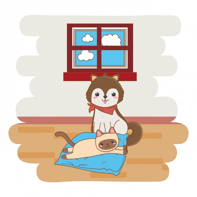 Diseño de dibujos animados de perros y gatos