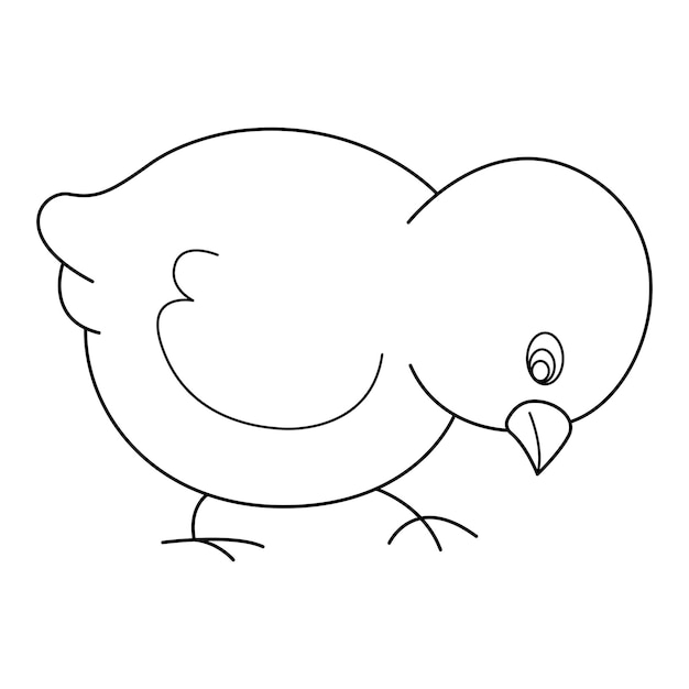 Diseño de dibujos animados de vector de contorno de pollito sobre fondo blanco