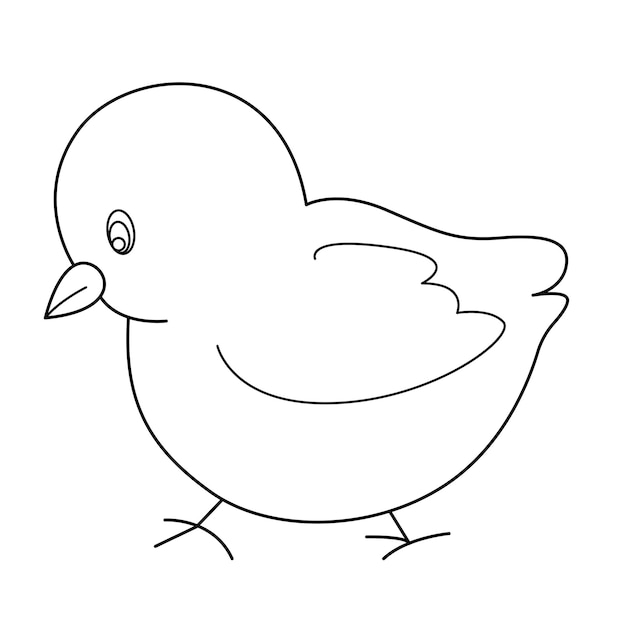 Diseño de dibujos animados de vector de contorno de pollito sobre fondo blanco