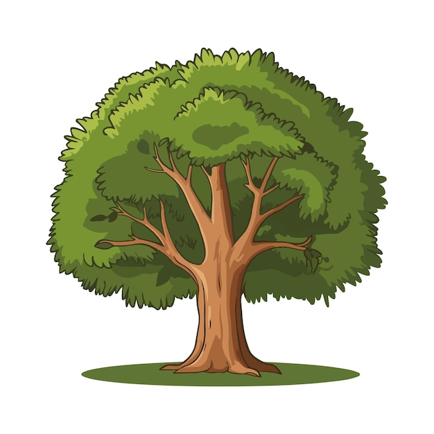 Diseño de dibujos de árboles Ilustración vectorial Clipart Eps