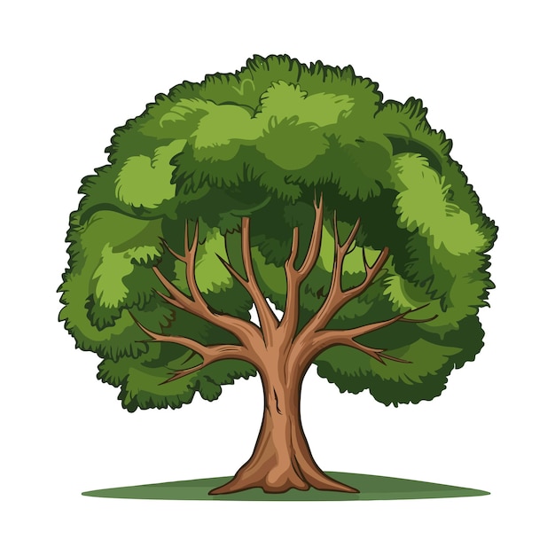 Diseño de dibujos de árboles Ilustración vectorial Clipart Eps