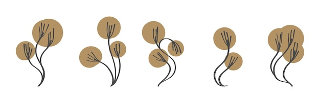 Diseño de dibujos a mano botánicos mínimos