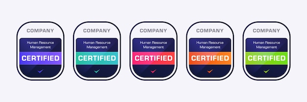 Diseño de distintivo certificado Gestión de recursos humanos Logotipo de certificación digital Ilustración vectorial