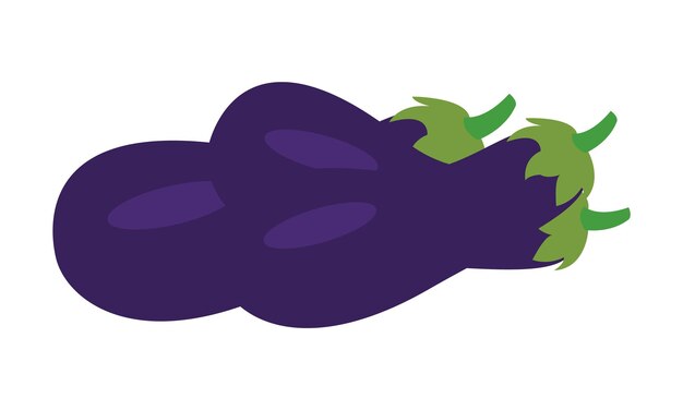 Diseño e ilustración vectorial de Brinjal