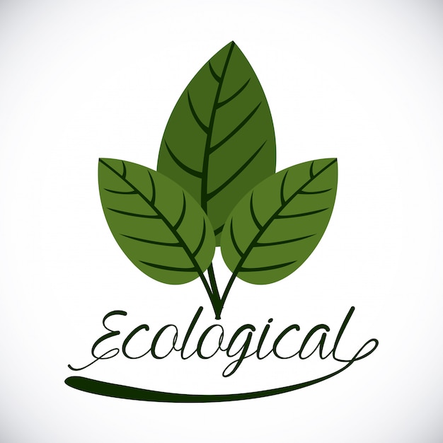 Diseño ecologico