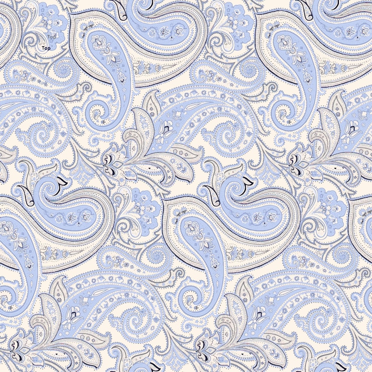 Vector diseño elegante de patrón azul claro y crema de paisley