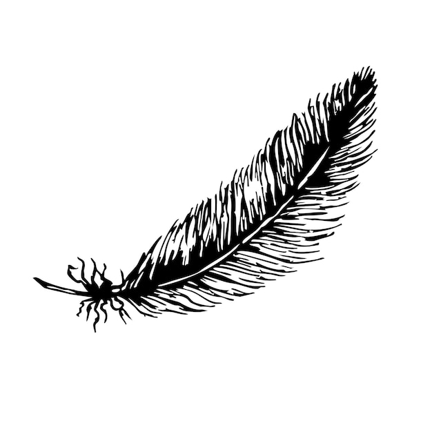 Diseño elegante de plumas para elementos de primera comunión y celebraciones religiosas dibujado a mano Ilustración vectorial en blanco y negro