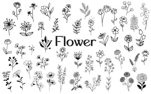 diseño de elementos dibujados a mano con dibujos de flores