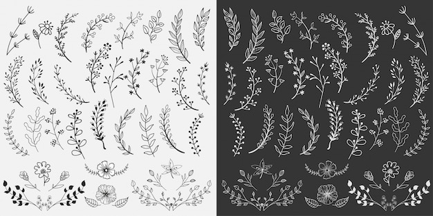 Diseño de elementos florales dibujados a mano