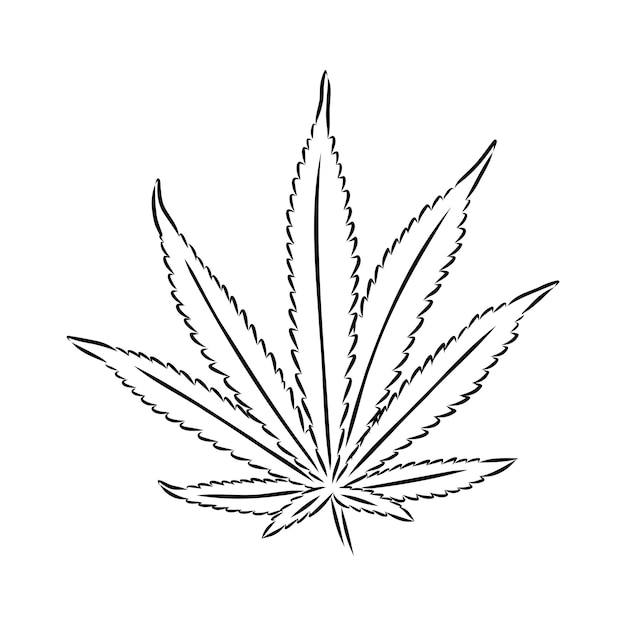 Diseño de envases de ilustraciones botánicas de cannabis