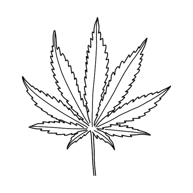 Diseño de envases de ilustraciones botánicas de cannabis