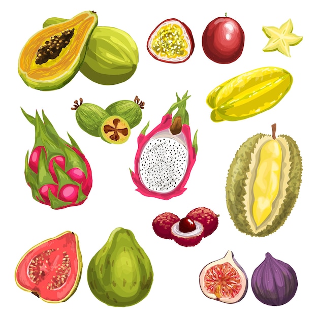 Vector diseño de escenografía de acuarela de frutas frescas tropicales exóticas