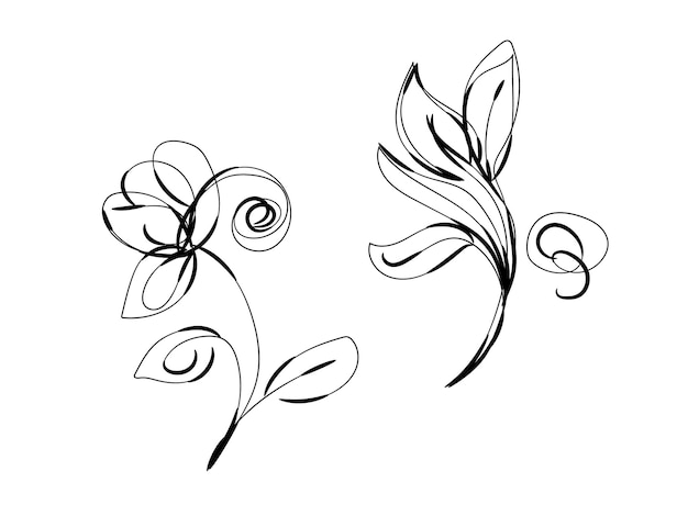 Diseño de escenografía decorativa floral creativa ornamental.