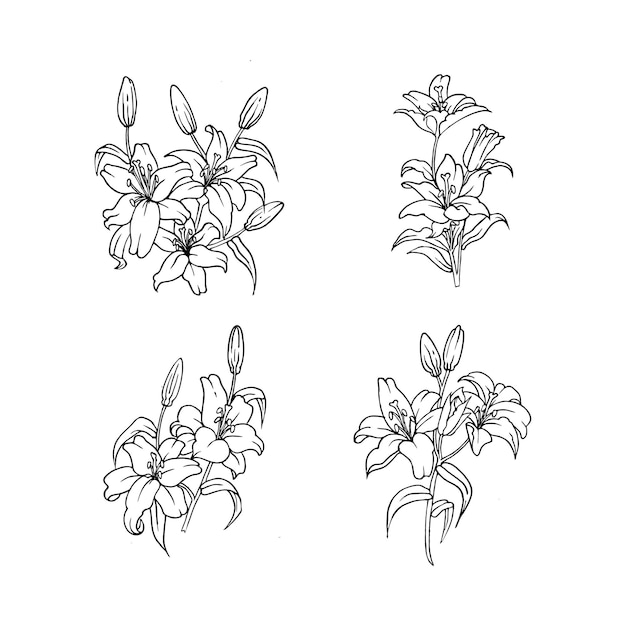 Diseño de esquema de flor de lirio para adorno de naturaleza.
